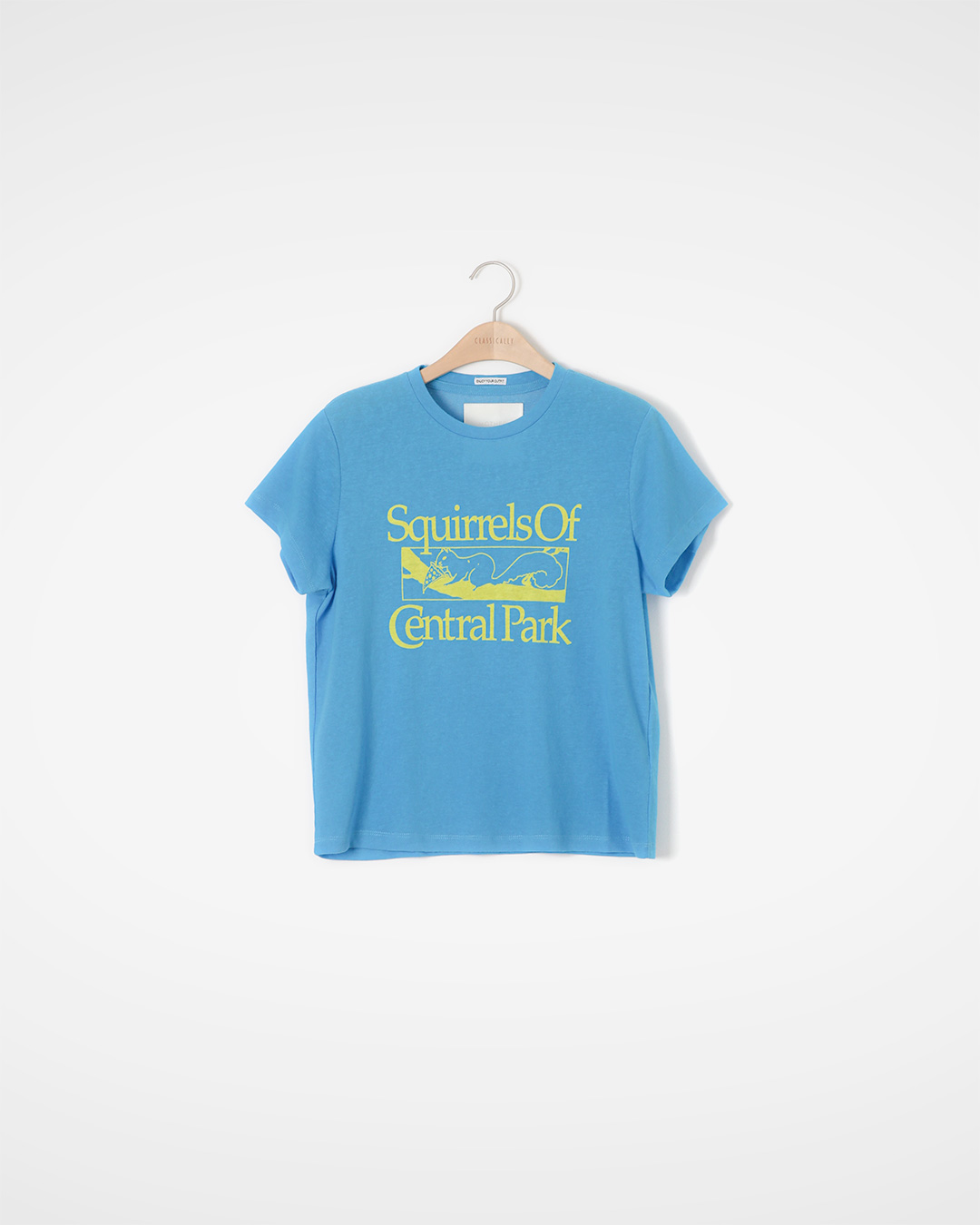 The wit of Central Park in one picture<br> Squirrels of Central Park Tee